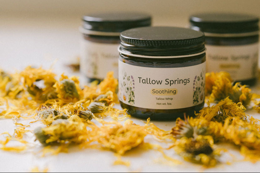 Jars of Tallow Springs product surrounded by yellow flowers on a light background