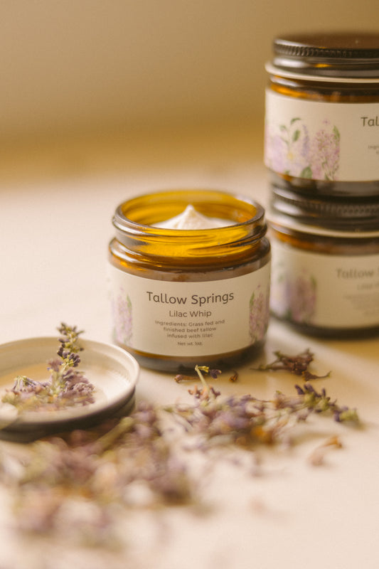 Lilac Tallow Whip
