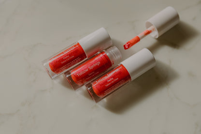 Tallow Lip Gloss